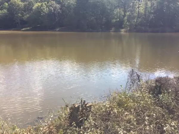 King, NC 27021,1264 Forge Mill RD