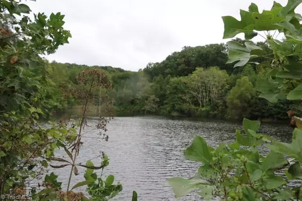 00 Little Bit LN, Pilot Mountain, NC 27041