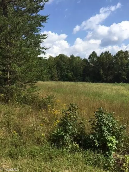 Lot 1 Preacher Hayes RD, Burlington, NC 27217