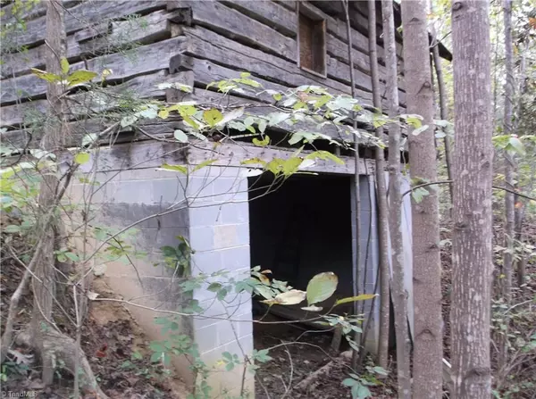 Walnut Cove, NC 27053,1060 Spencer Orchard RD