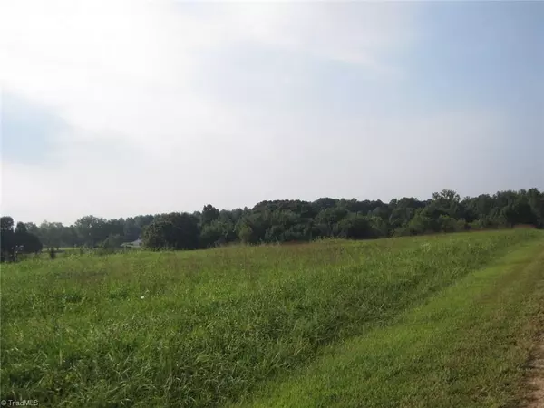 Yadkinville, NC 27055,Lot 3 Simplicity DR