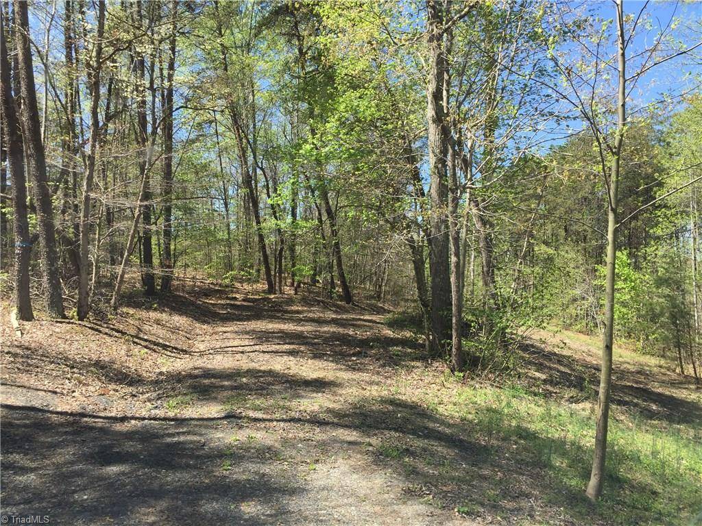 Wentworth, NC 27320,Parcel C Dallas RD