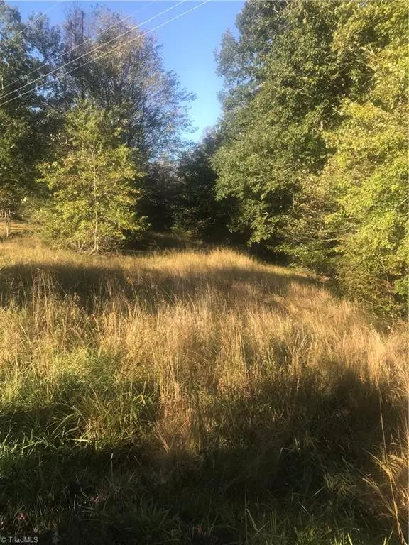 TBD Black Mountain RD, Pilot Mountain, NC 27041