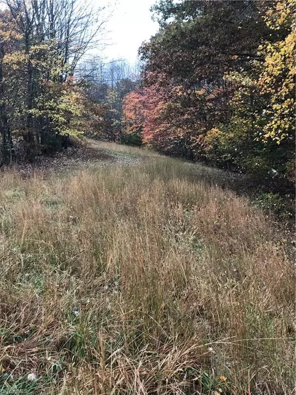 Pilot Mountain, NC 27041,TBD Black Mountain RD