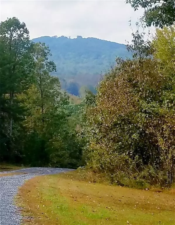 Randleman, NC 27317,1584 Franklin Hills CT