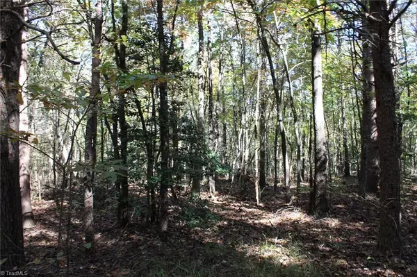 Statesville, NC 28625,18ac Wilkesboro Highway