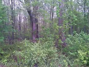 Lot 11 Mount Lebanon RD, Troy, NC 27371