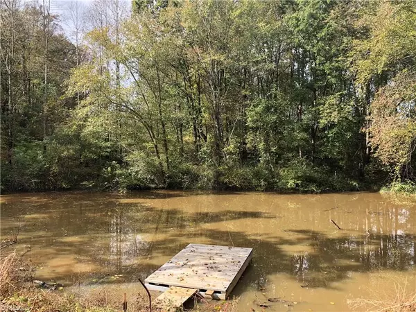 Yadkinville, NC 27055,Lot 4 1641 Country Club RD