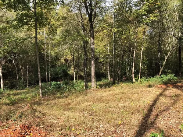 Yadkinville, NC 27055,Lot 4 1641 Country Club RD