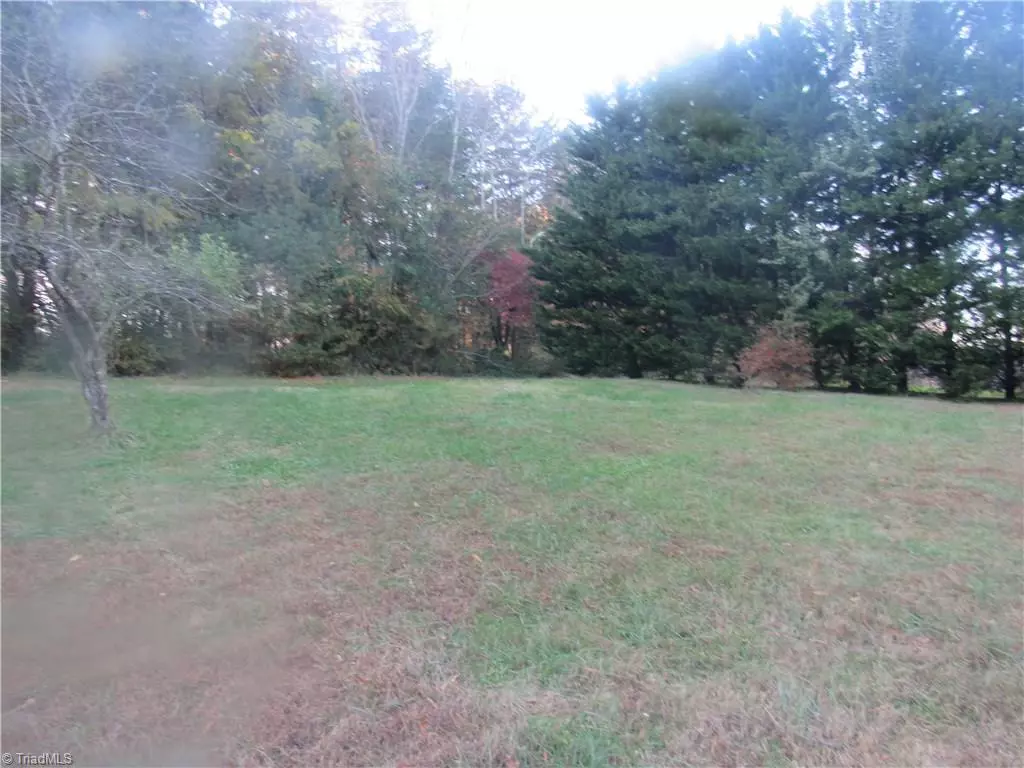 King, NC 27021,213 Star View DR #TRACT 1