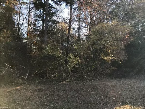 Yadkinville, NC 27055,Lot 9 Cleary LN