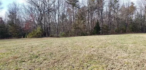 Roaring River, NC 28669,TBD Byrd RD