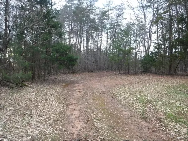 Pilot Mountain, NC 27041,1415 Wilson RD