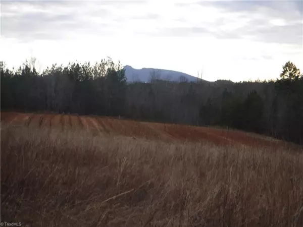 Pilot Mountain, NC 27041,1415 Wilson RD