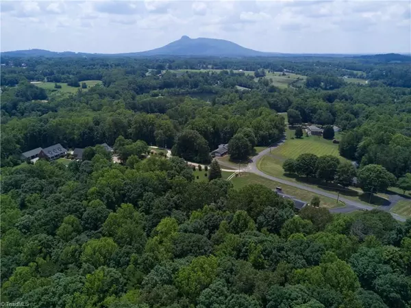 Pilot Mountain, NC 27041,278 Old Hollow RD