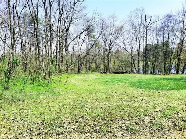 Yadkinville, NC 27055,lot 5 Lakewood TRL