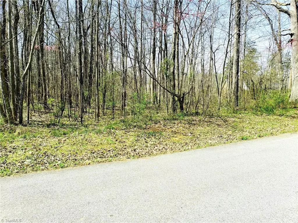 Yadkinville, NC 27055,Lot 1 Lakewood TRL