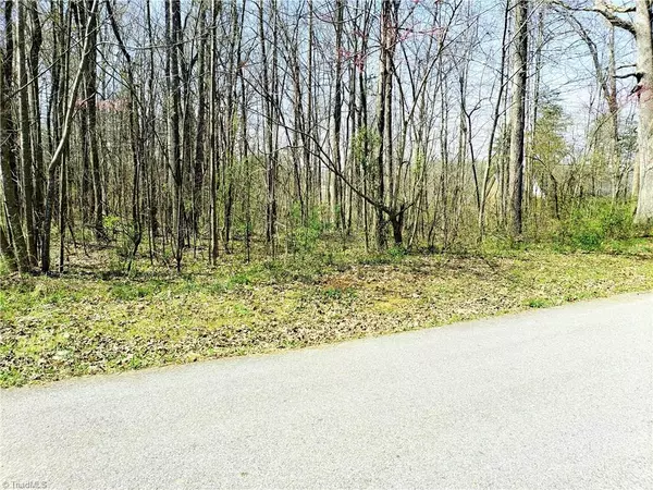 Lot 1 Lakewood TRL, Yadkinville, NC 27055