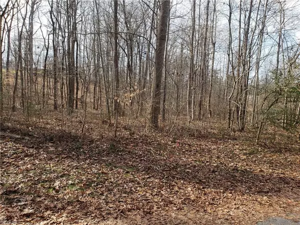 Yadkinville, NC 27055,Lot 1 Lakewood TRL