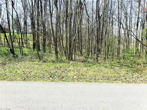 Yadkinville, NC 27055,Lot 1 Lakewood TRL