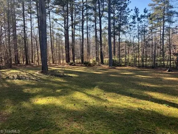 Summerfield, NC 27358,4207 Citron CT