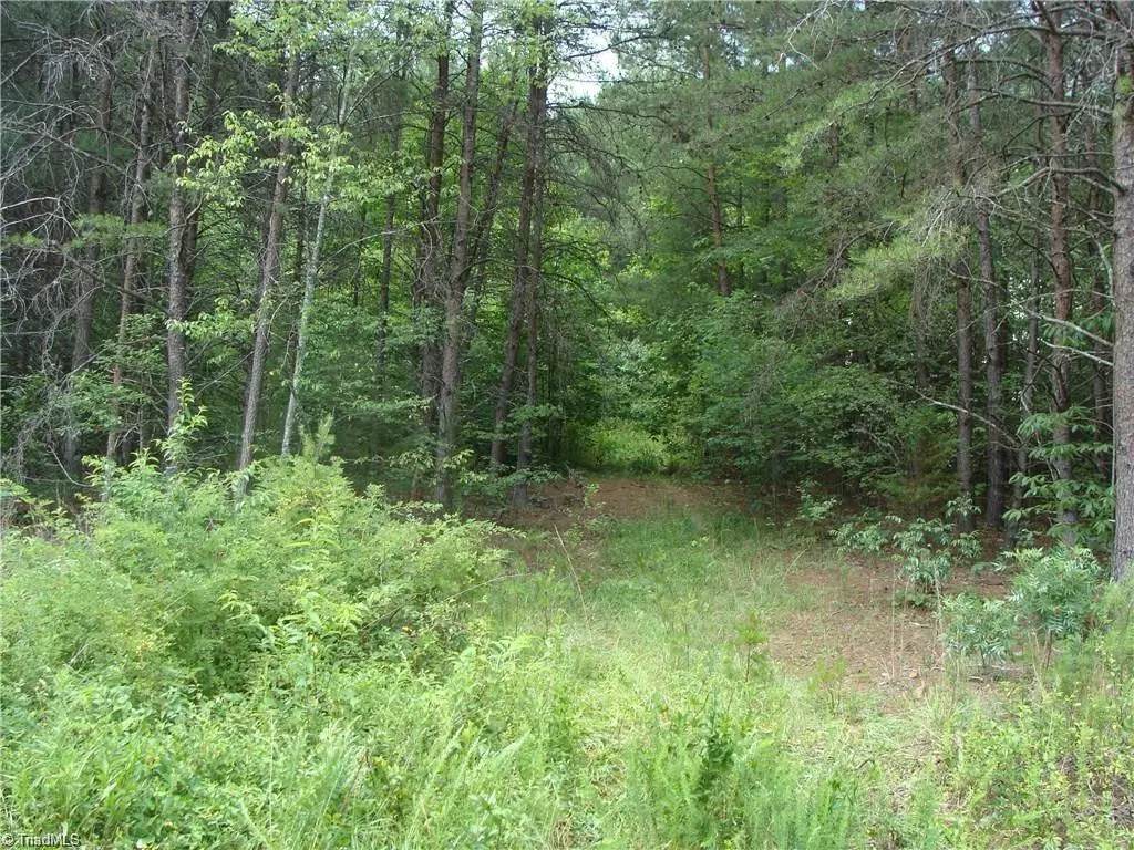 Roaring River, NC 28669,0 Annie Sophia LN