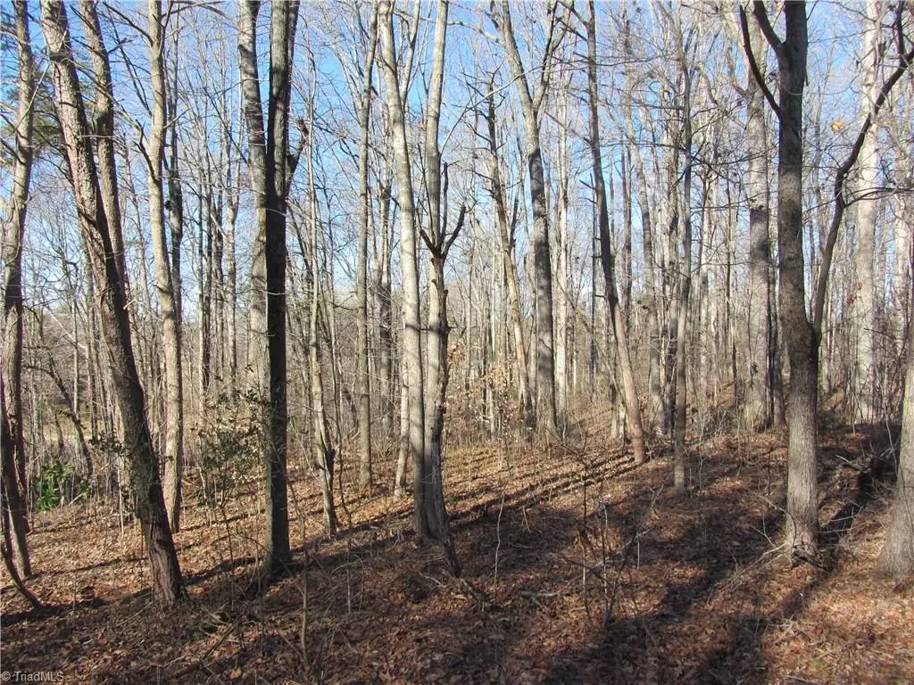 Stoneville, NC 27048,00 Oakgrove DR