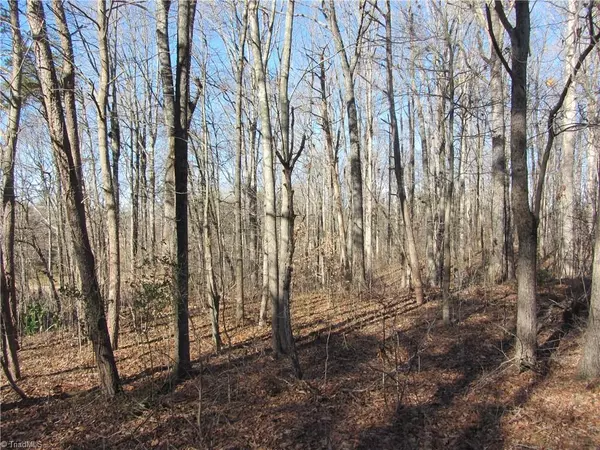 00 Oakgrove DR, Stoneville, NC 27048