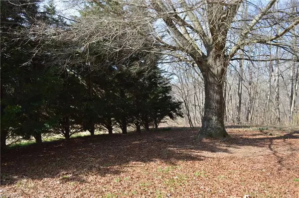 Madison, NC 27025,1096 Troy Joyce RD