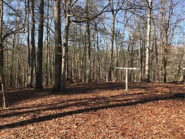 Mount Airy, NC 27030,138 Summit DR