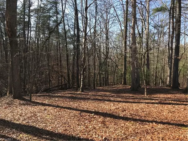 Mount Airy, NC 27030,138 Summit DR