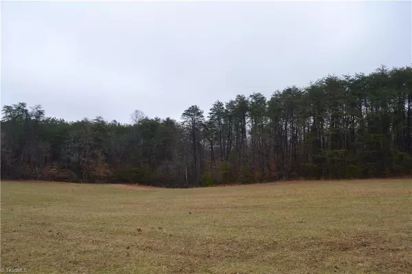 Madison, NC 27025,13 Acres Martin Farm RD