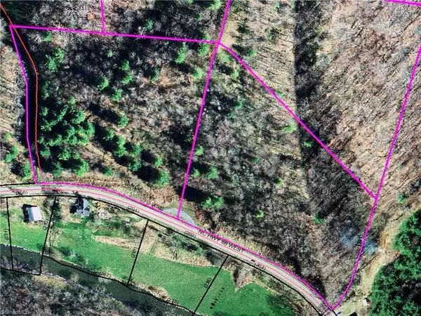 Clifton, NC 28693,LOT 1 Nc Highway 88