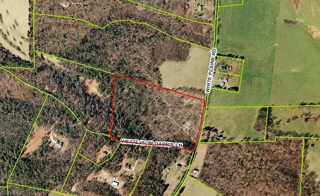 Roaring River, NC 28669,TBD White Plains RD