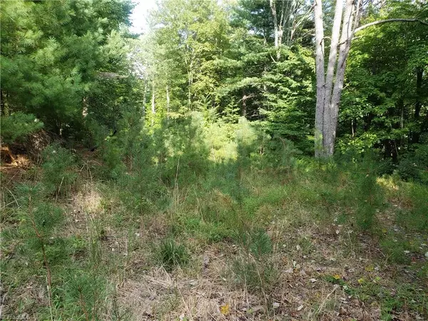 Millers Creek, NC 28651,00 Timber Ridge RD