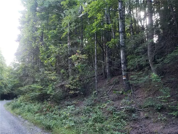 Millers Creek, NC 28651,00 Timber Ridge RD