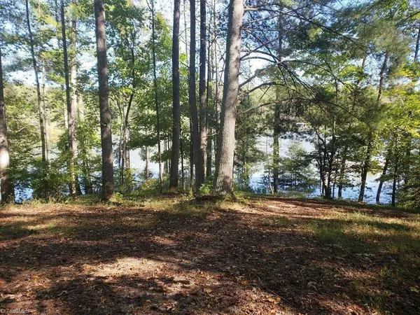 00 Triple Cove DR, Boomer, NC 28606