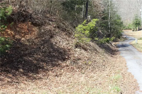 Millers Creek, NC 28651,1536 Mertie RD