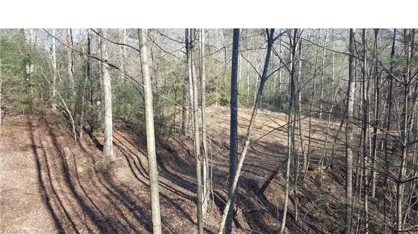 Millers Creek, NC 28651,1536 Mertie RD