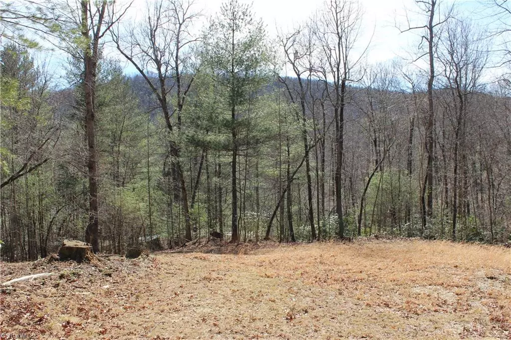 Millers Creek, NC 28651,1536 Mertie RD