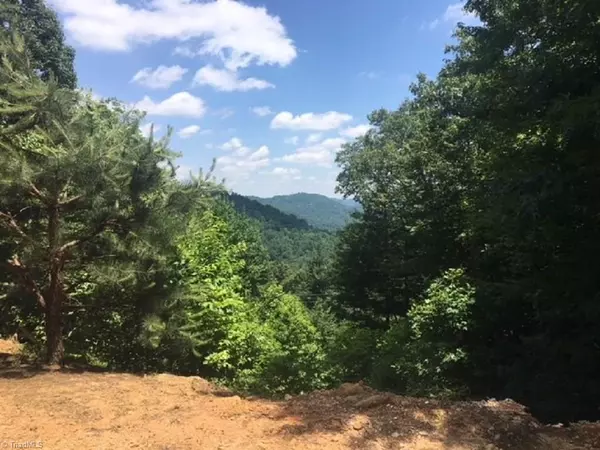 Millers Creek, NC 28651,0 Riverview RD