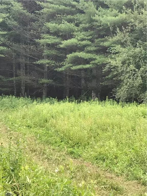 Sparta, NC 28675,000 Old Barrett RD