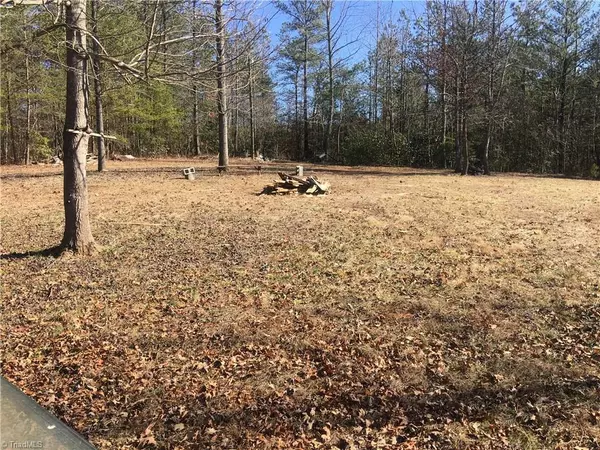 Hays, NC 28635,TBD River Bend LN