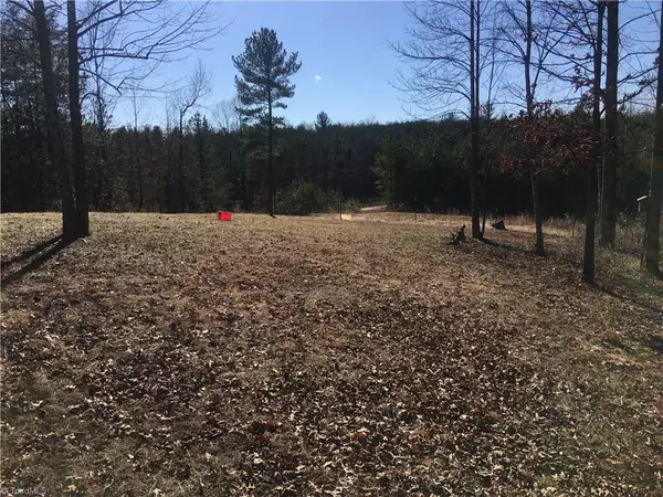 Hays, NC 28635,TBD River Bend LN