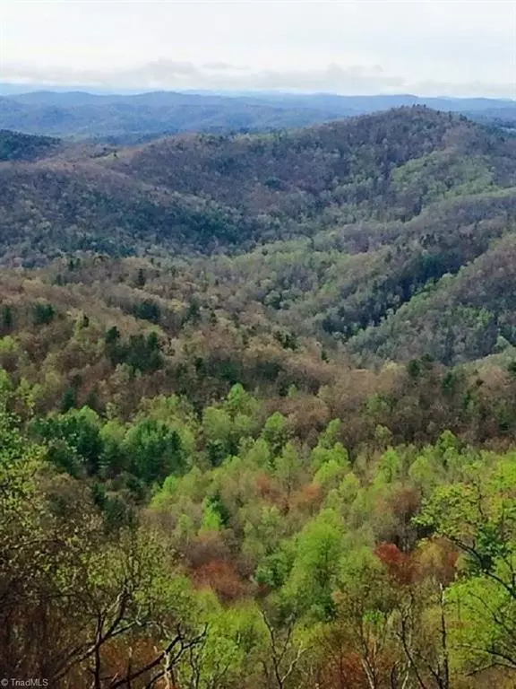 Millers Creek, NC 28651,6029 Sheets Gap RD