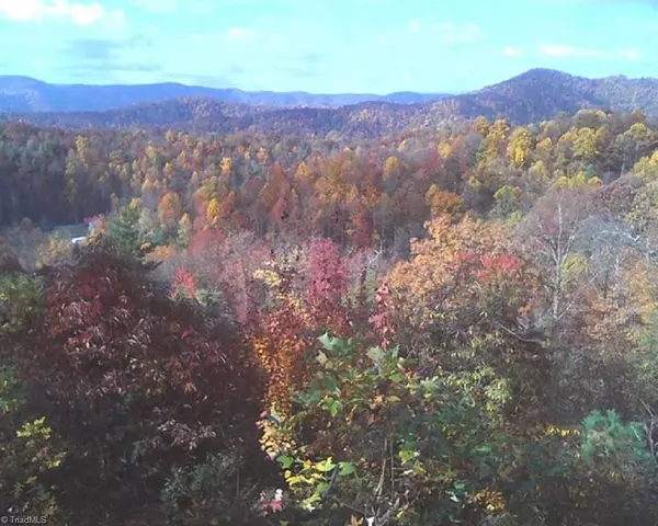 Millers Creek, NC 28651,6029 Sheets Gap RD