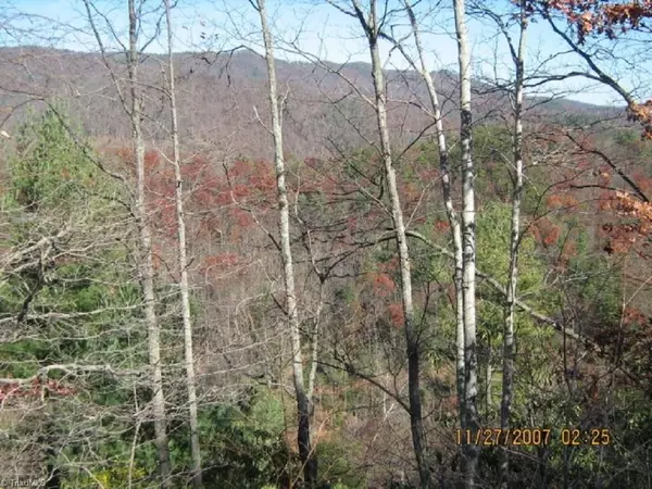 Millers Creek, NC 28651,0 Sheets Gap RD