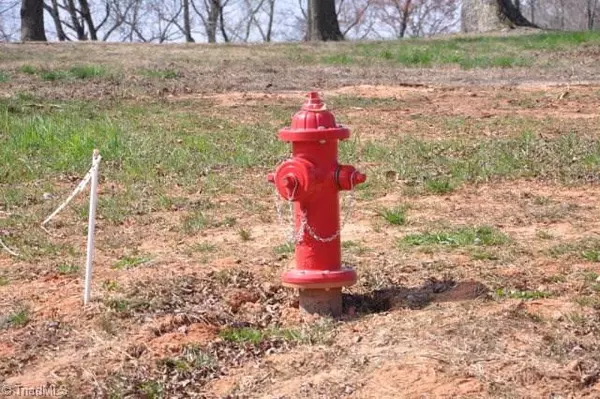 Wilkesboro, NC 28697,Lot #6 Holly Berry LN