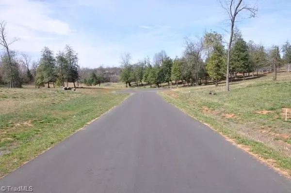 Wilkesboro, NC 28697,Lot # 11 Holly Berry LN