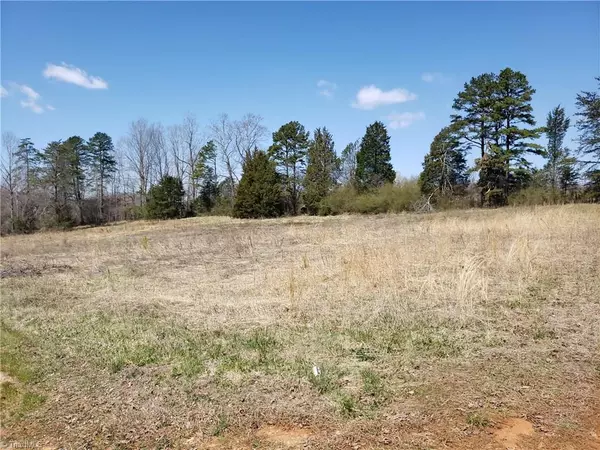 East Bend, NC 27018,Lot 14 Eliza LN